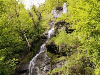 Canonteign Falls, Devon, UK