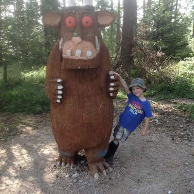 Haldon Forest Park, Forestry Commission Woodland Nr Exeter
