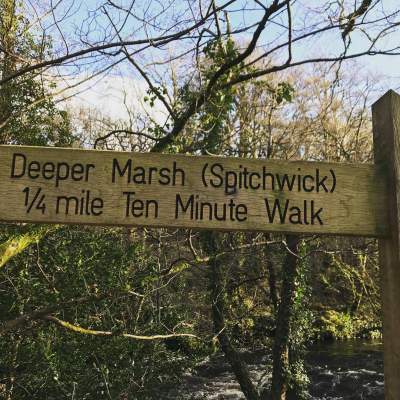 Short walk from Newbridge to Spitchwick on Dartmoor
