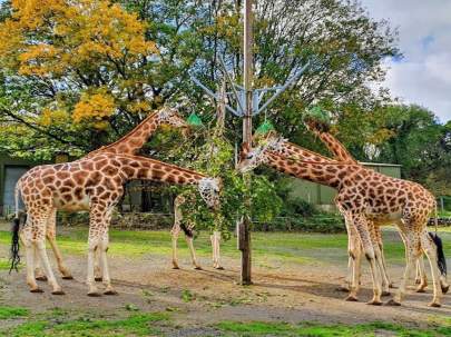 Paignton Zoological Park