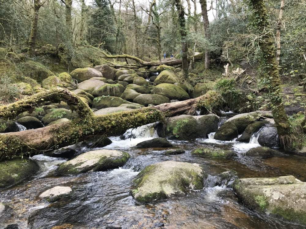 Becky Falls, Dartmoor National Park, Devon, 7