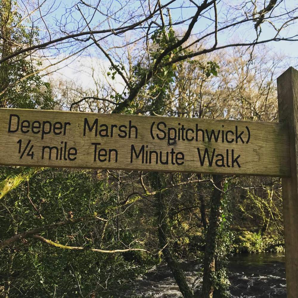 Spitchwick, Dartmoor 4