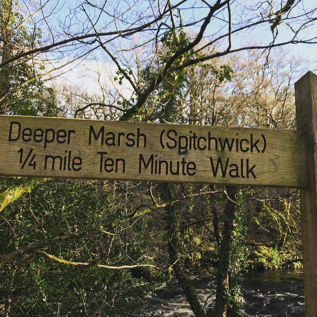 Spitchwick, Dartmoor 4