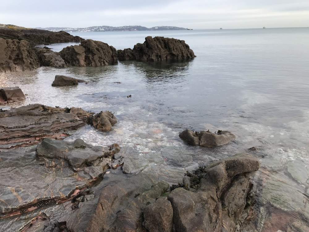 Elberry Cove