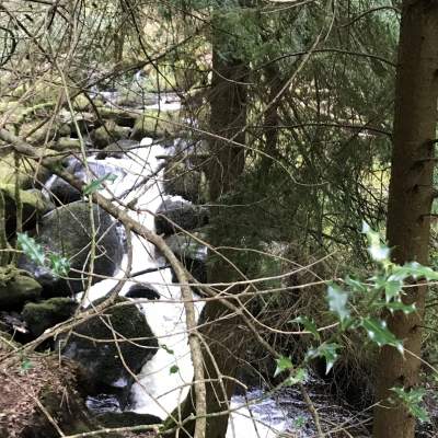 Becky Falls, Dartmoor National Park, Devon